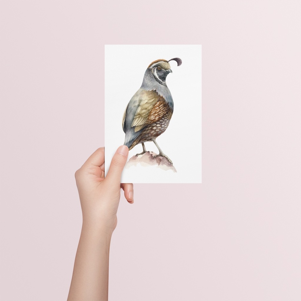Quail Bird Wall Art Watercolor Illustration Print Poster Card Unframed - Picture 6 of 7